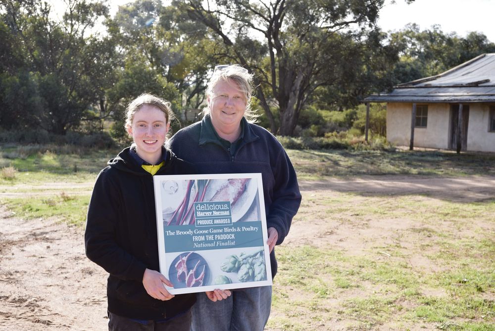 Prized poultry for Broody Goose at Sedan post image
