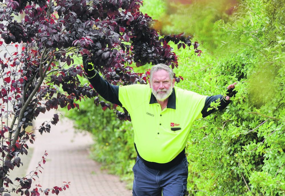 Peeved postie post image