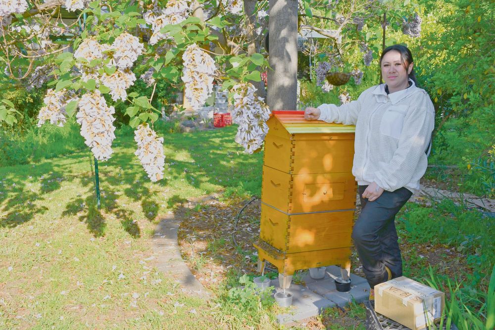 Bee aware: Swarm season is here post image