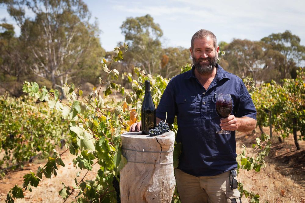 Schubert Estate shines with Shiraz post image