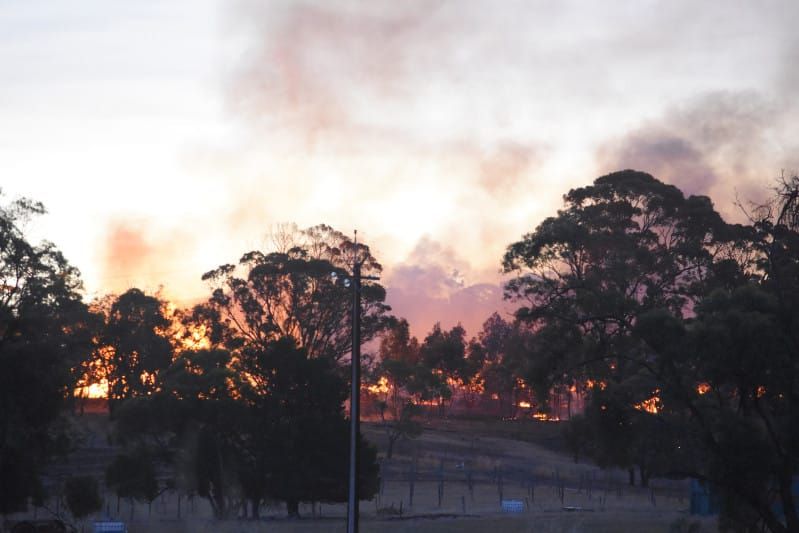 Pallets destroyed in Moppa fire post image