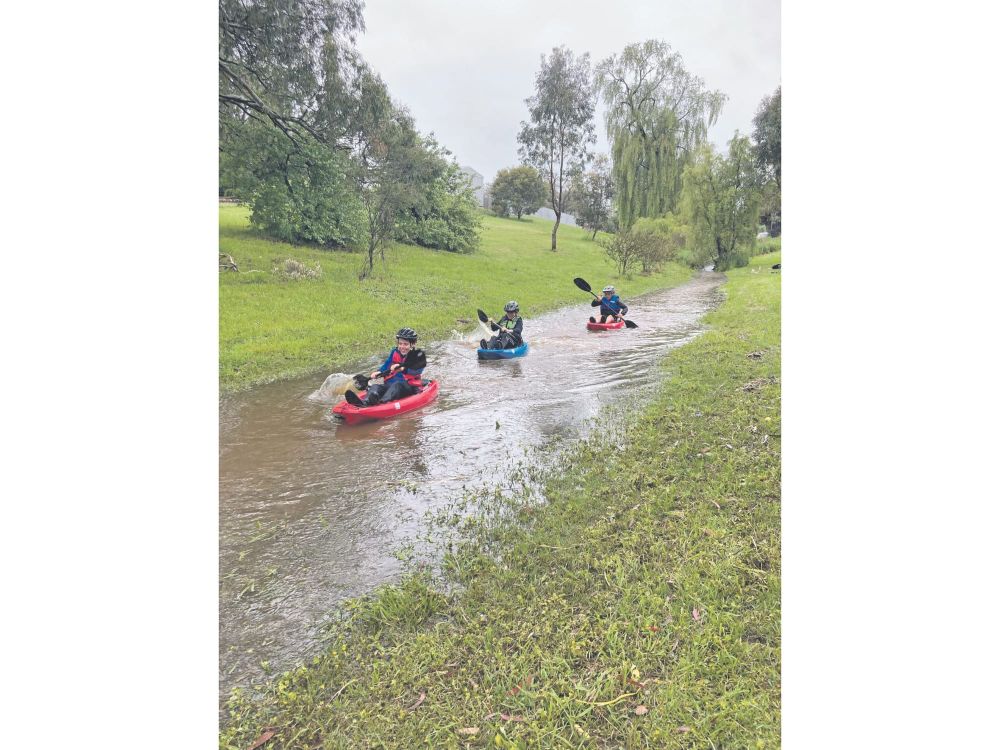 Wild weather hits the Barossa post image