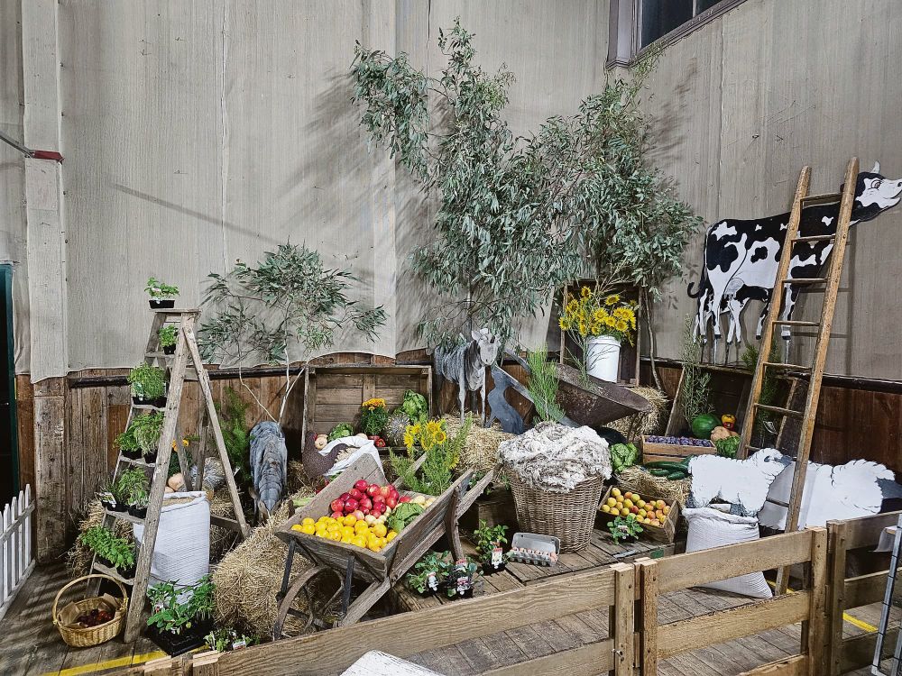 Eye catching display by the Angaston Agricultural Bureau post image