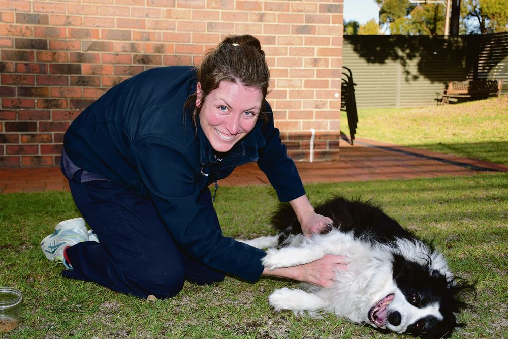 Pet owners feeling the pinch post image