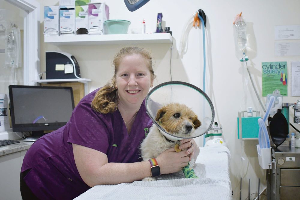 Modern veterinary legislation set to benefit animal owners across SA post image