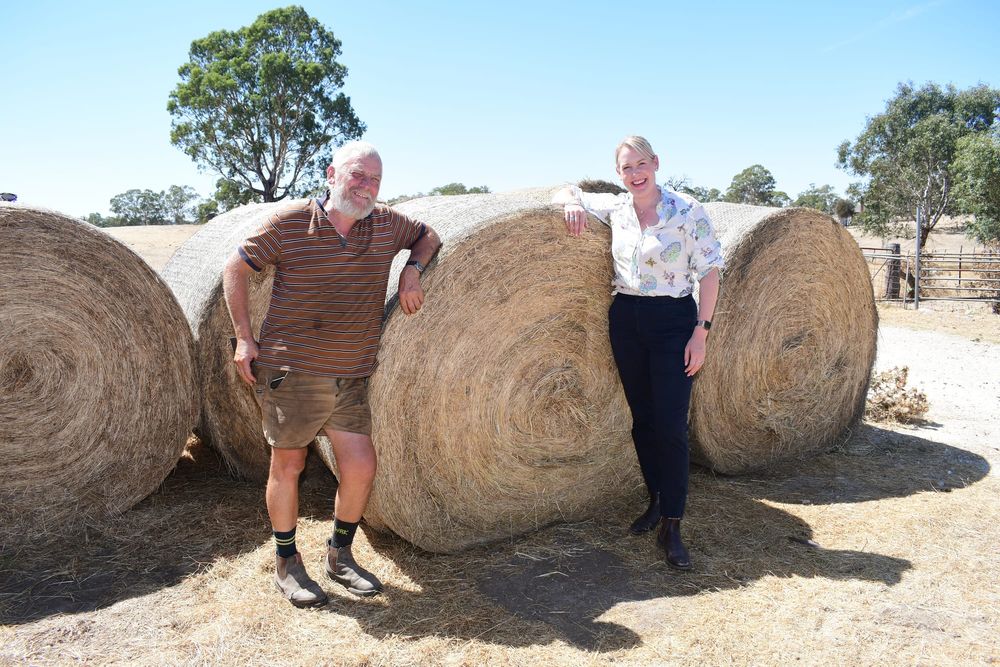 Hay a lifeline for struggling industry post image