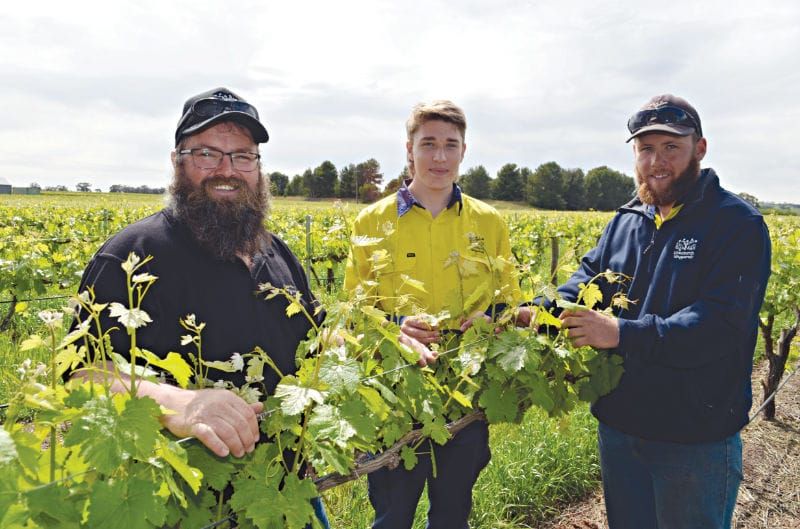 Training the next generation post image