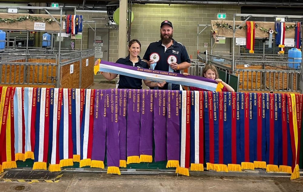 Gumshire Pork wins big at Sydney Royal post image