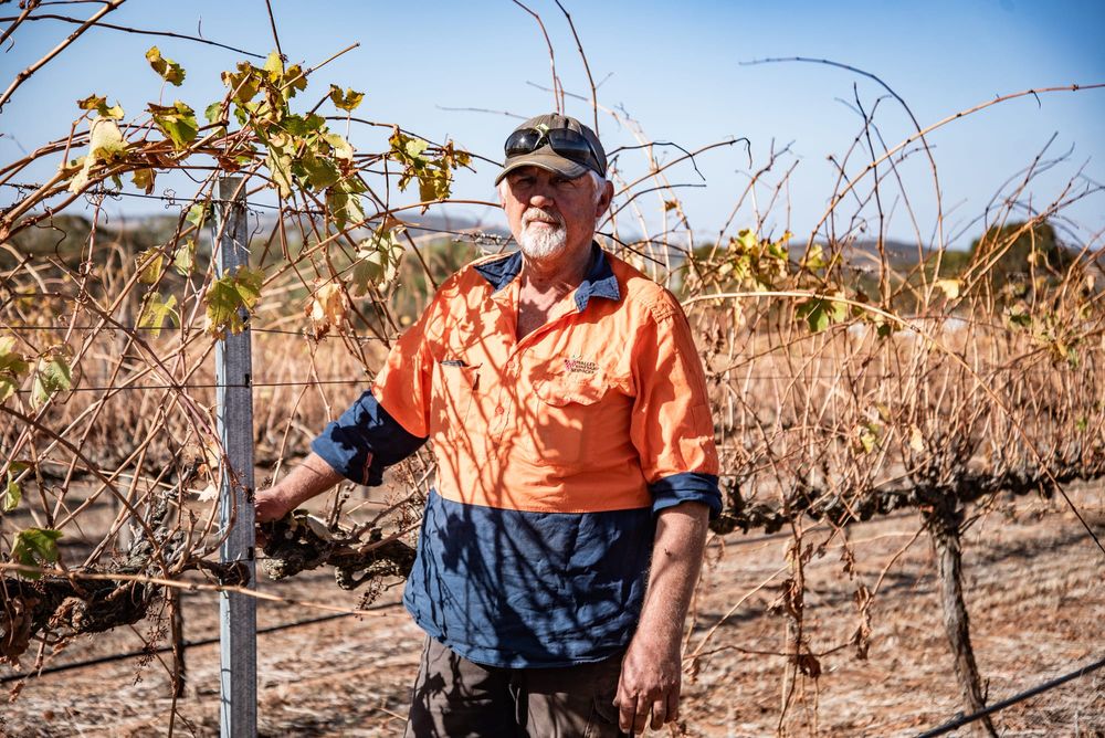 Peter's steeling himself for the long haul post image