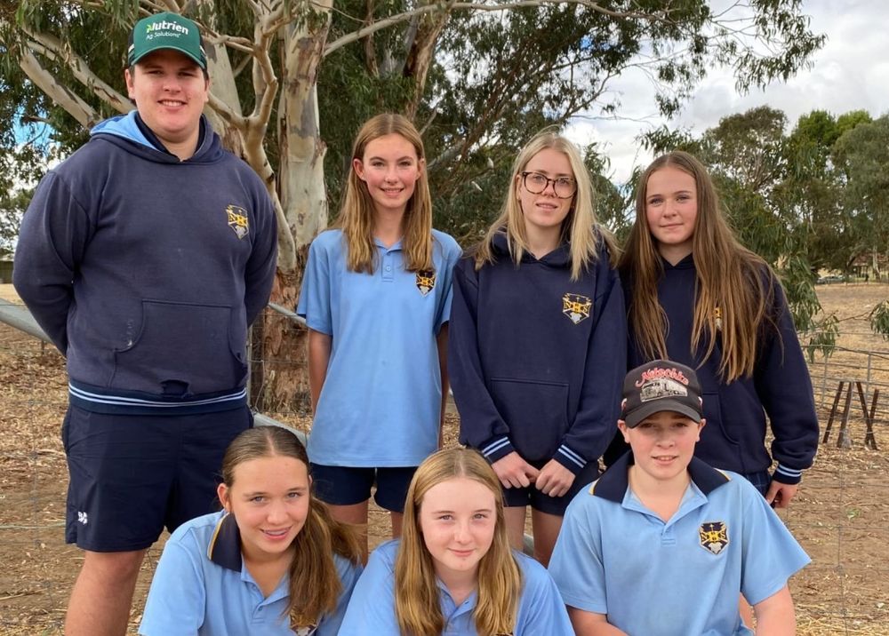 Supporting students for Sheep Expo post image