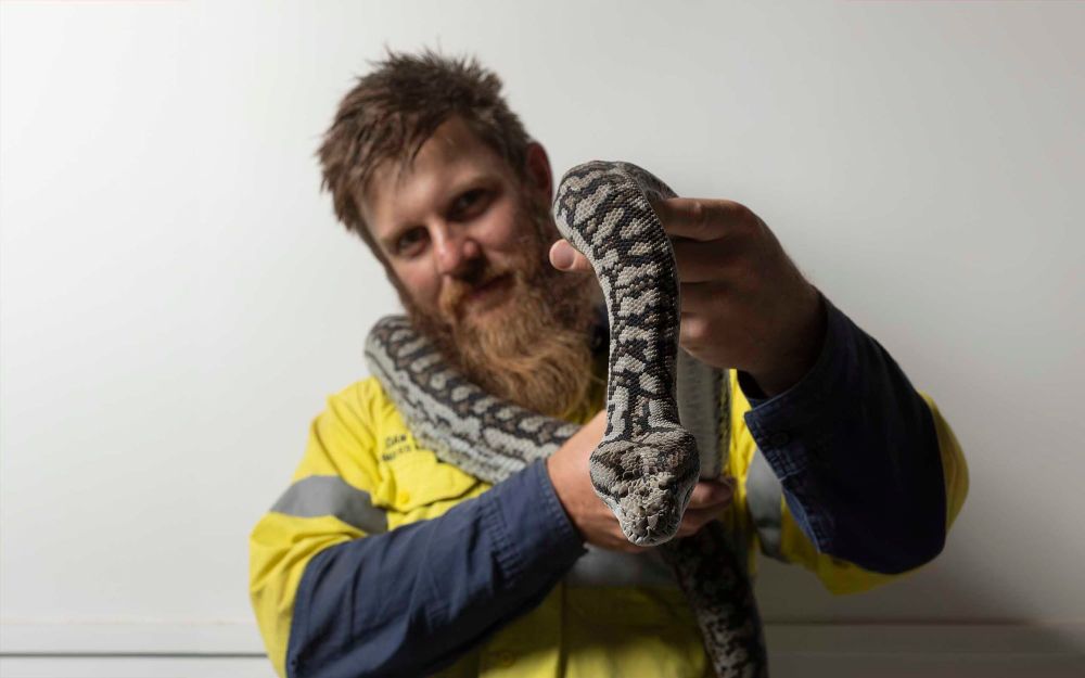 Cold blooded compassion post image