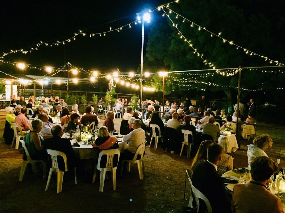 A spectacular night in the forest post image