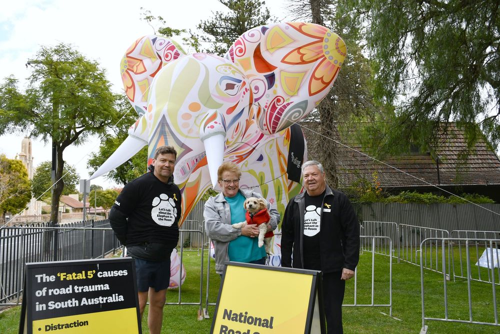 RAA addresses the ‘elephant in the room’ post image