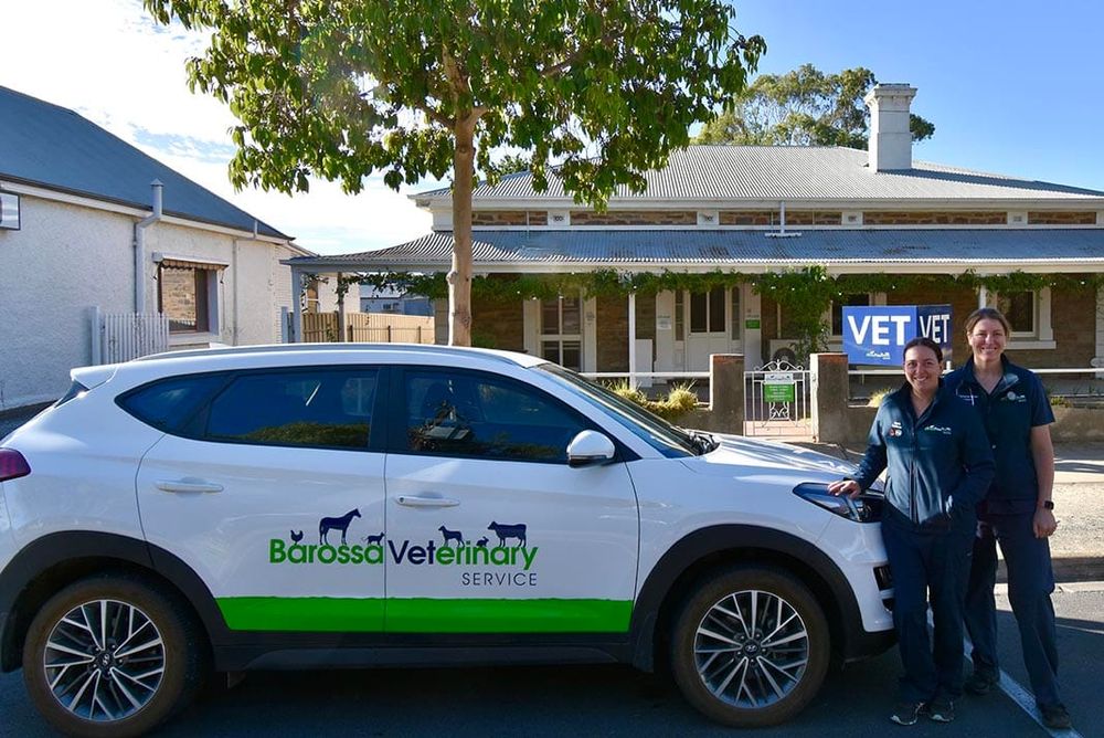 Barossa Veterinary Service post image