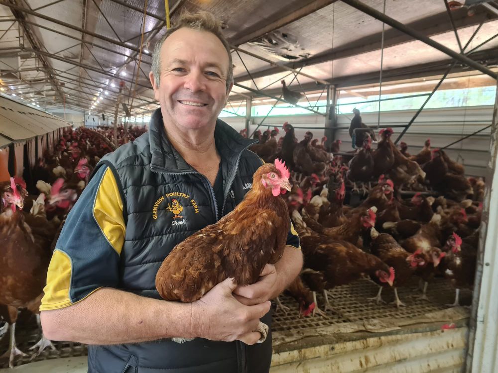 Egg-citing news, but will farmers re-coop their costs? post image