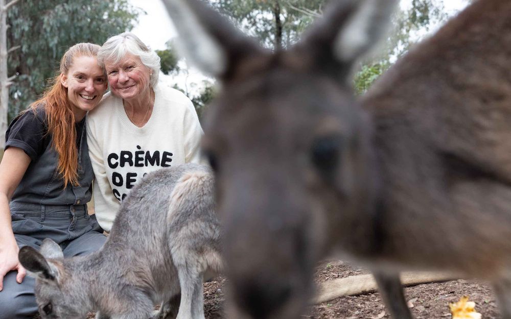 It’s a wild life post image