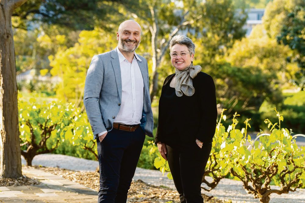 SAWIA executive committee announced post image