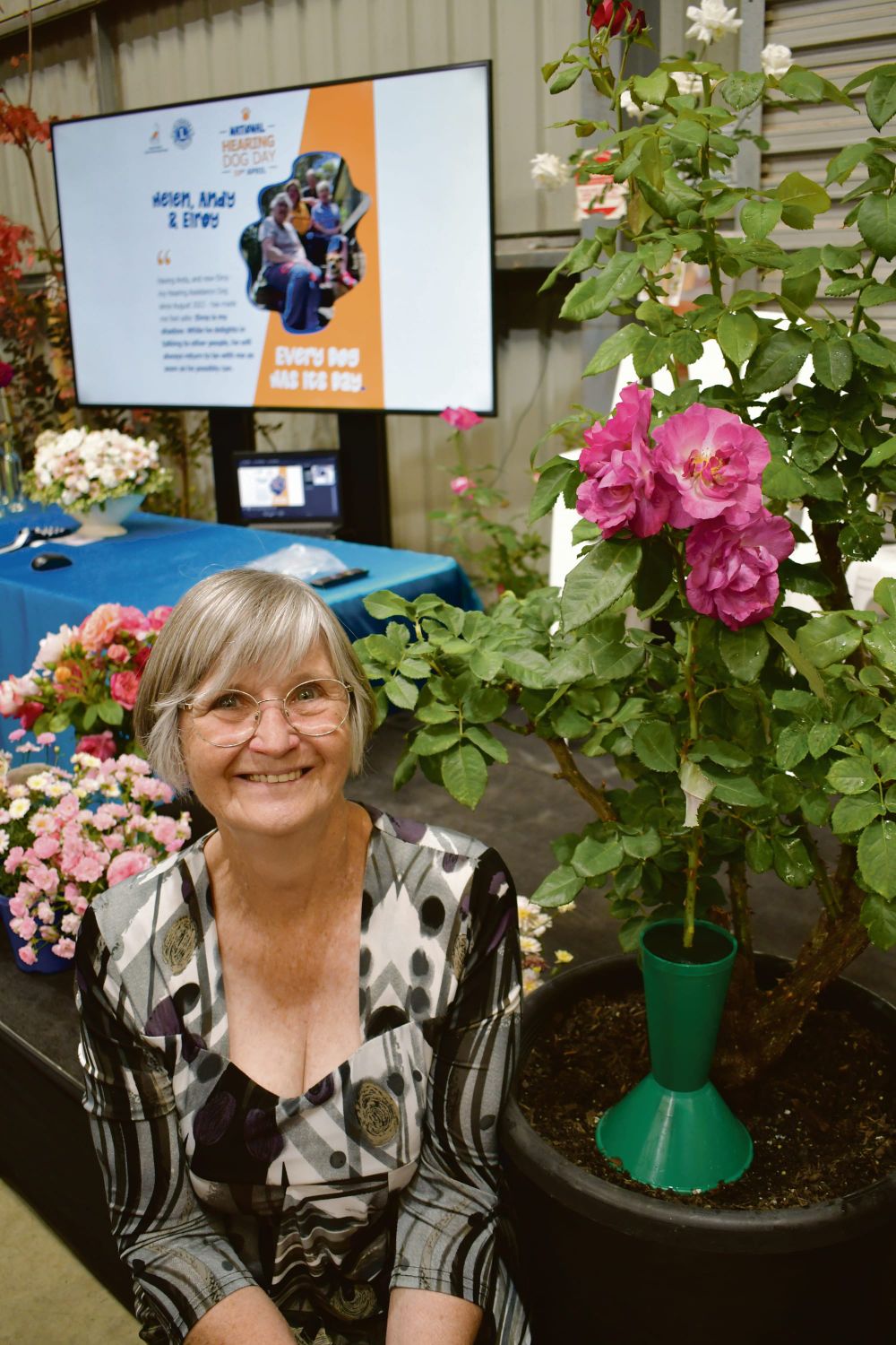 Roses on show and Amber’s Gift post image