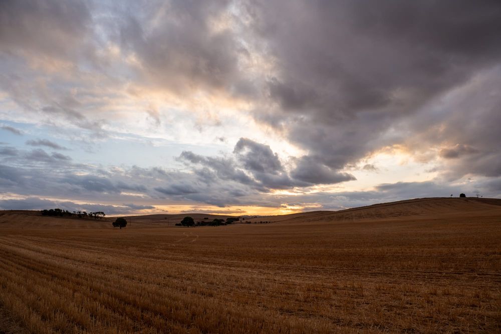 Resilience and perseverance make Eudunda post image