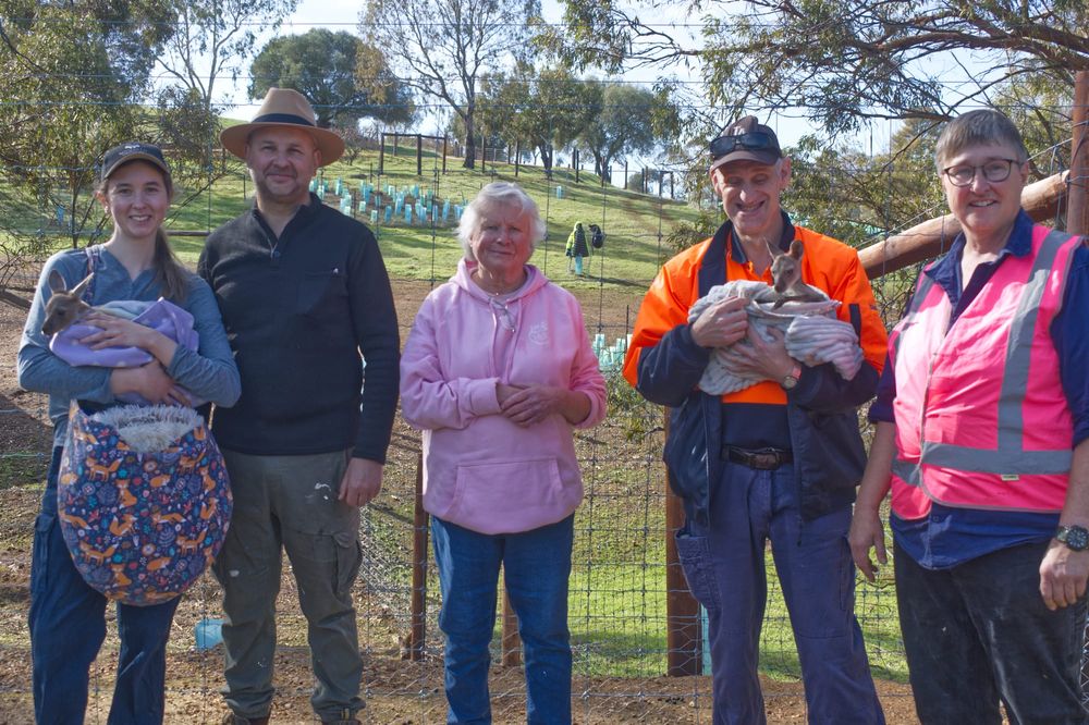 Funding to support Barossa Wildlife Rescue post image
