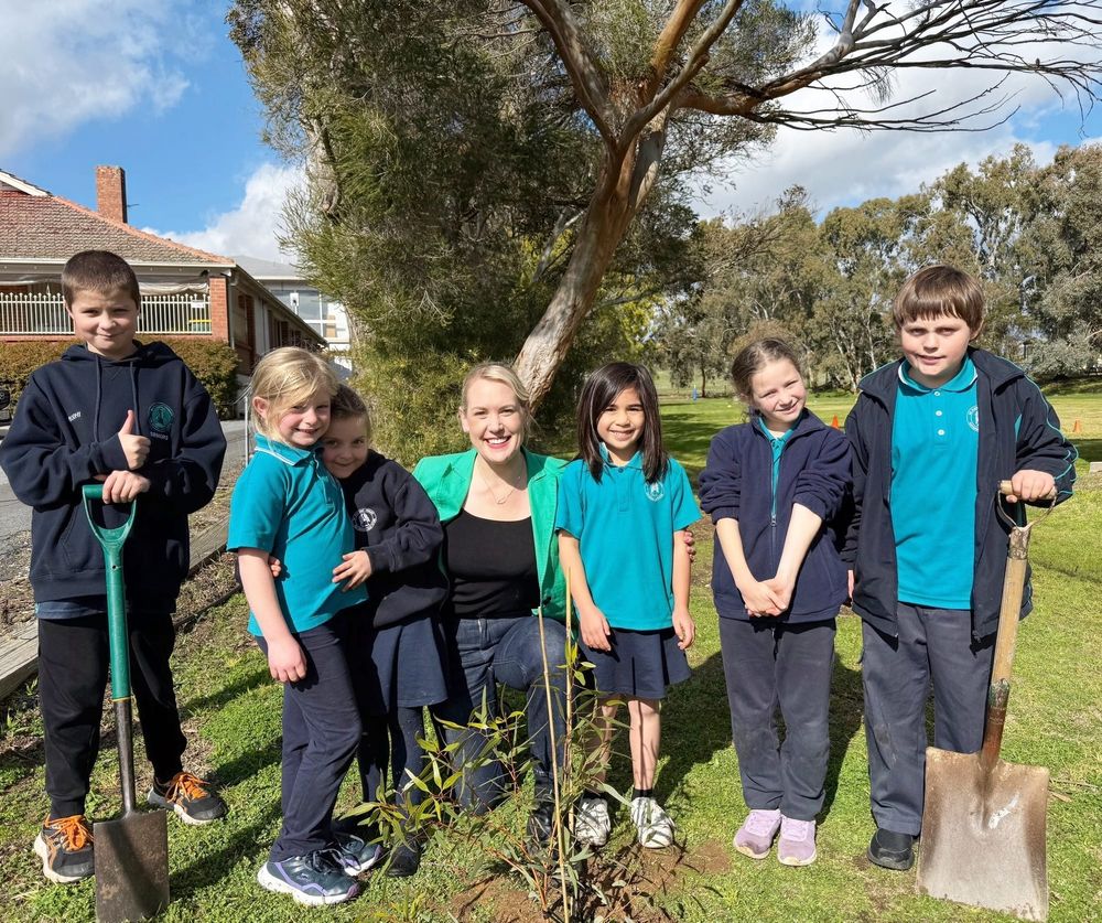 Mount Pleasant students celebrate World Tree Day post image