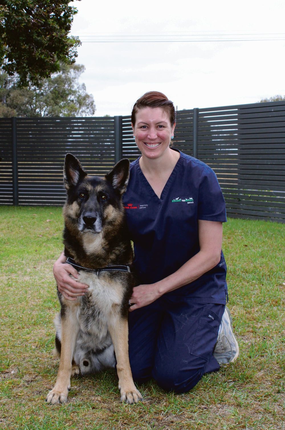 Keeping your dogs and cats healthy this winter post image
