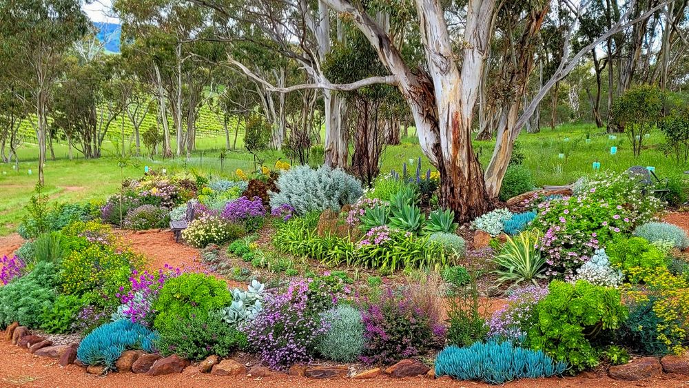 Orcombe Farm at Lyndoch to open post image