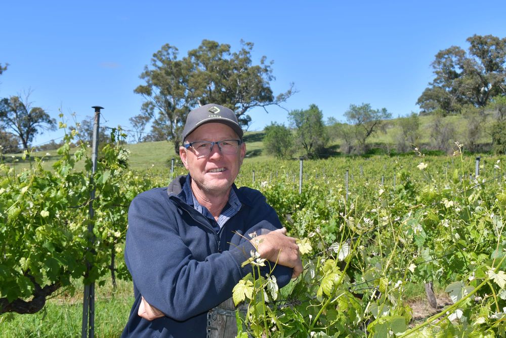 Rain, rain go away for Barossa Vignerons post image