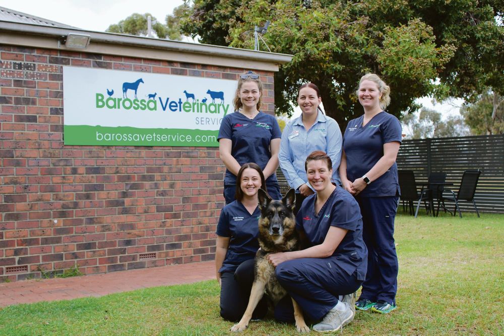 Barossa Veterinary Service acquires new location at Tanunda post image