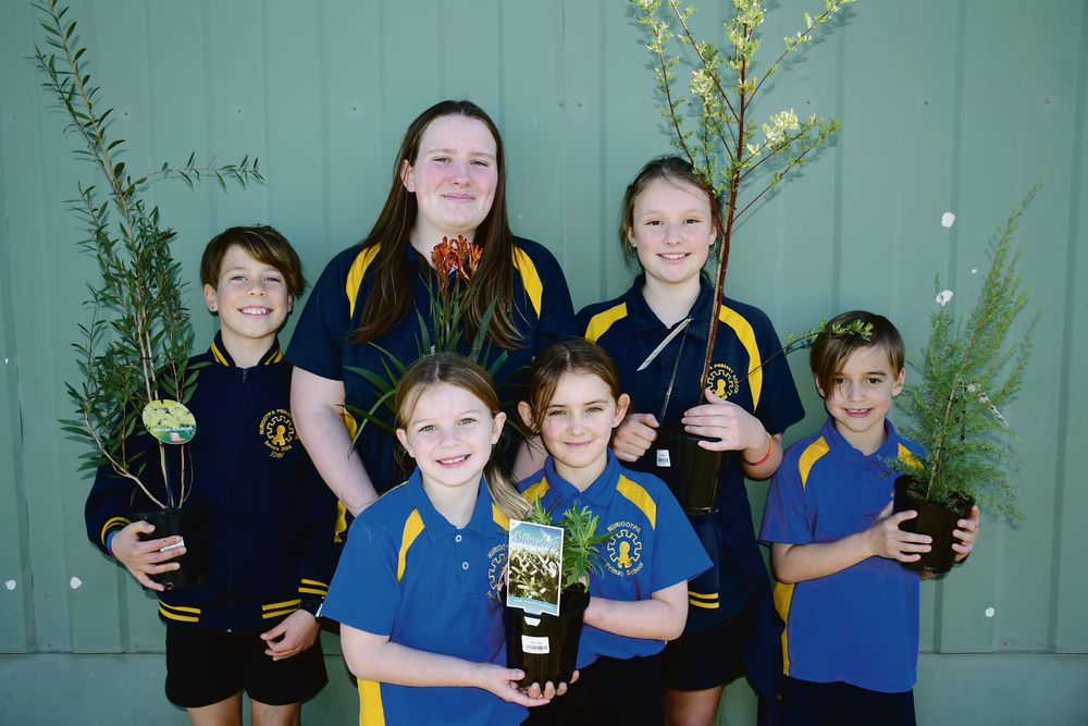 Green thumbs and plenty of fun at Nuri Primary post image