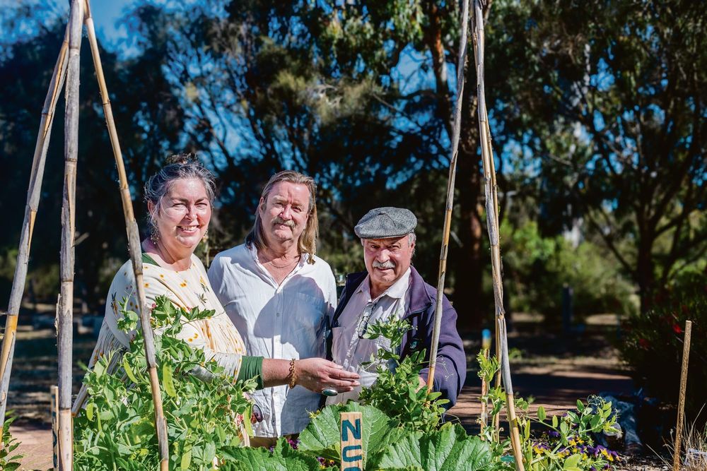 Food for the Soul Community Garden unveiled post image