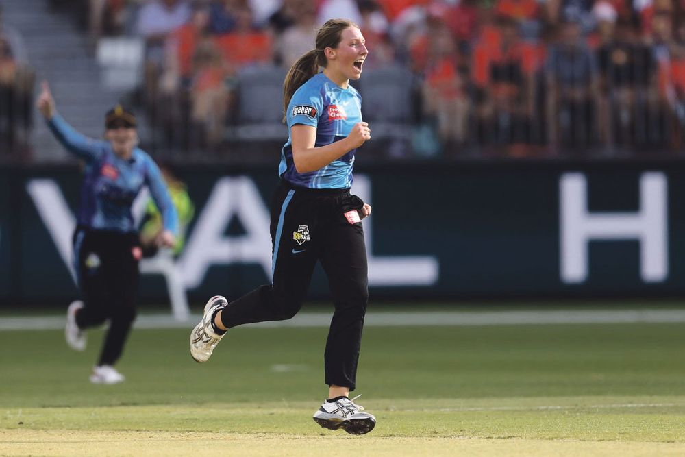 Darcie to entertain us post image