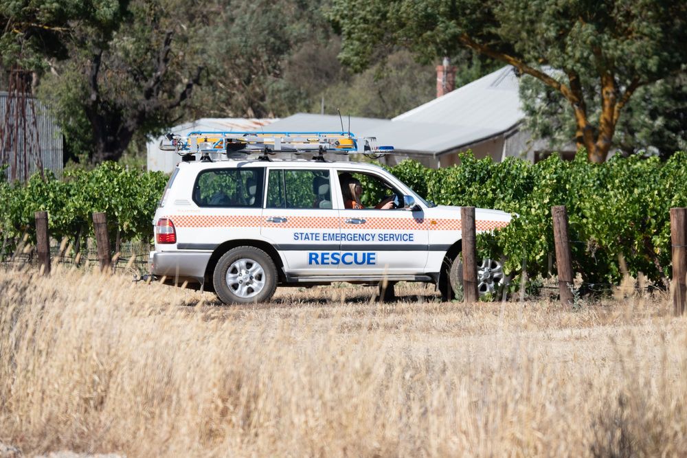 Search in the vines: Police resources deployed to find missing driver post image