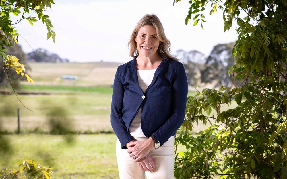 Driven by compassion post image