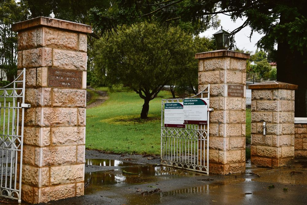 Tree damaged historical light post image