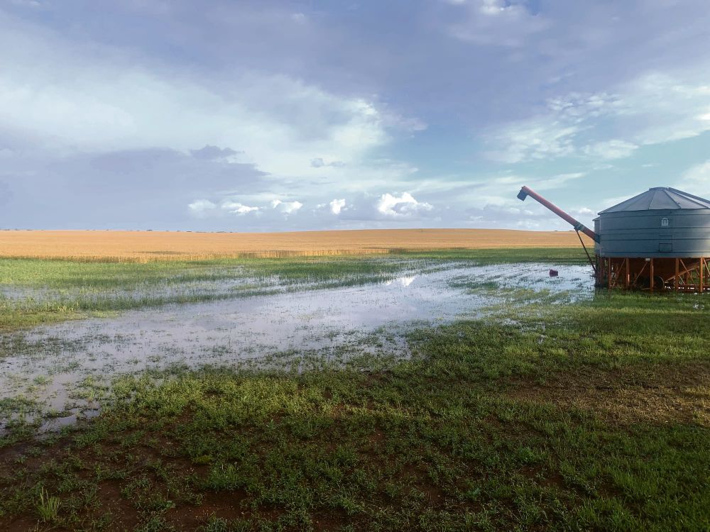 Impact of La Nina on harvest’s pot of gold post image