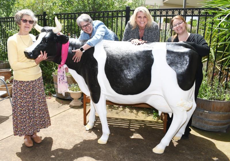 Cowabunga! post image