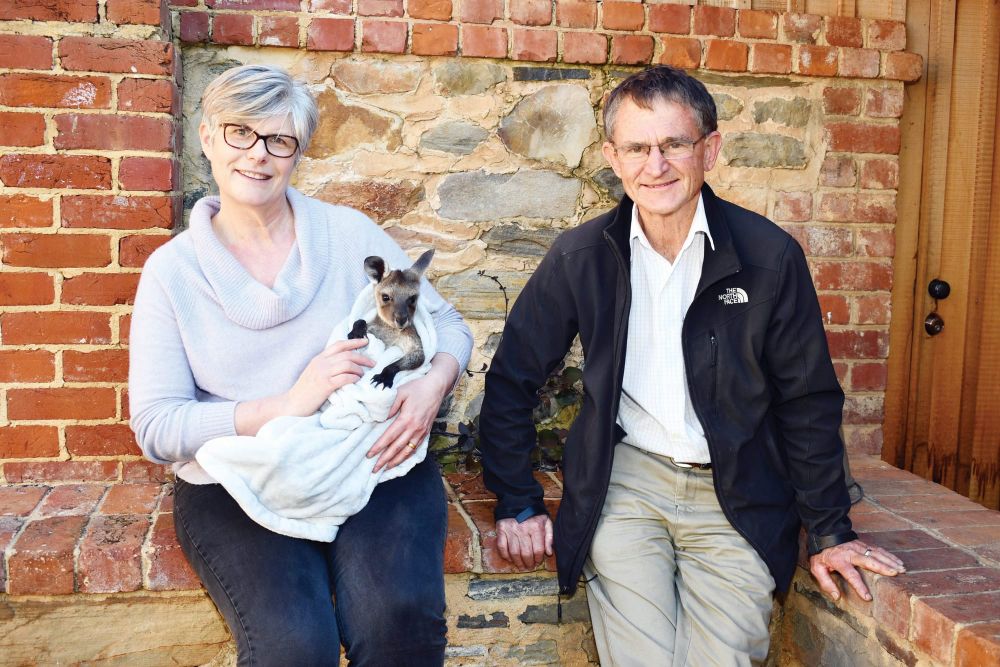 Barossa Wildlife Rescue to secure lasting legacy post image
