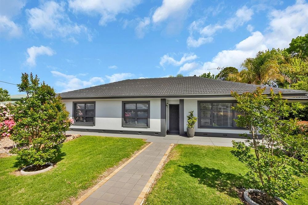 Backyard oasis post image