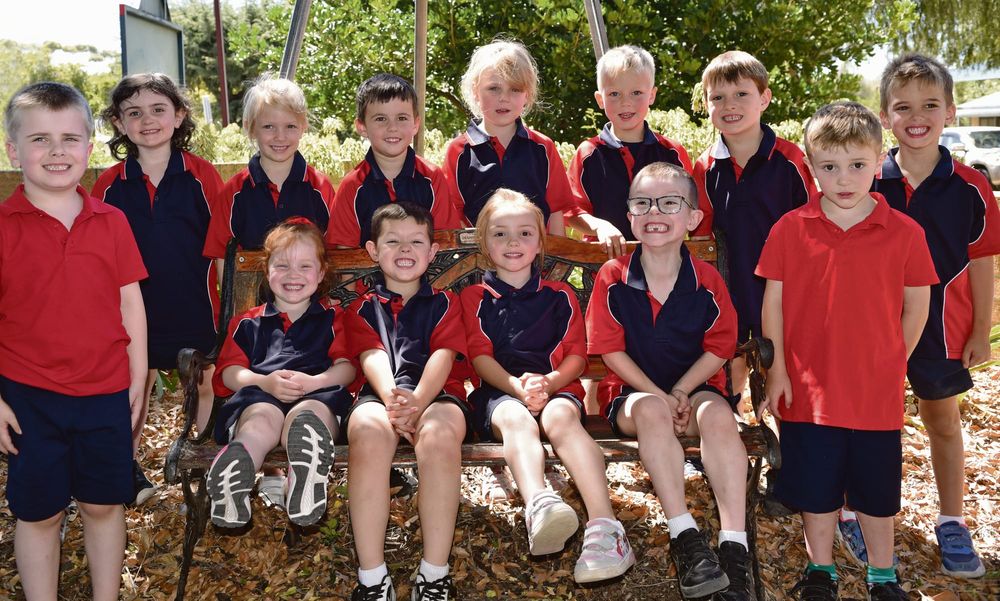 Who's new at school? post image