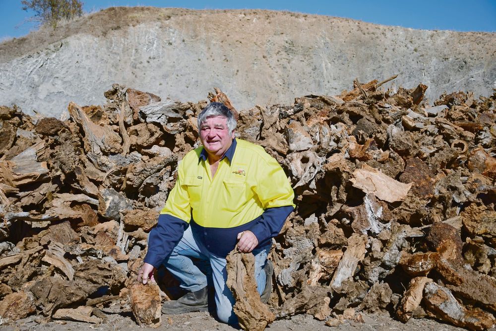 Fechner’s Firewood welcomes back Mallee post image