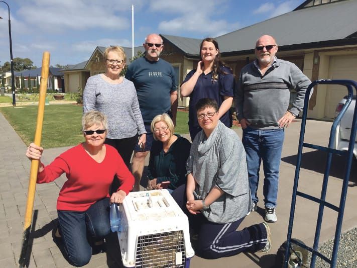 A strange sight in Nuriootpa post image