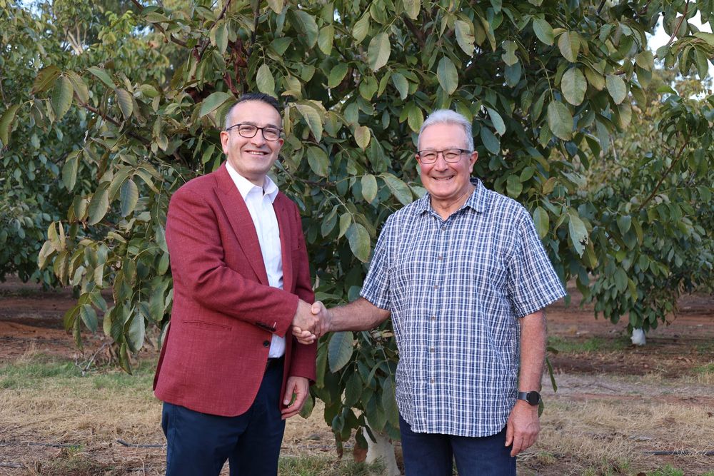Locals recognised at Horticultural Awards' night post image