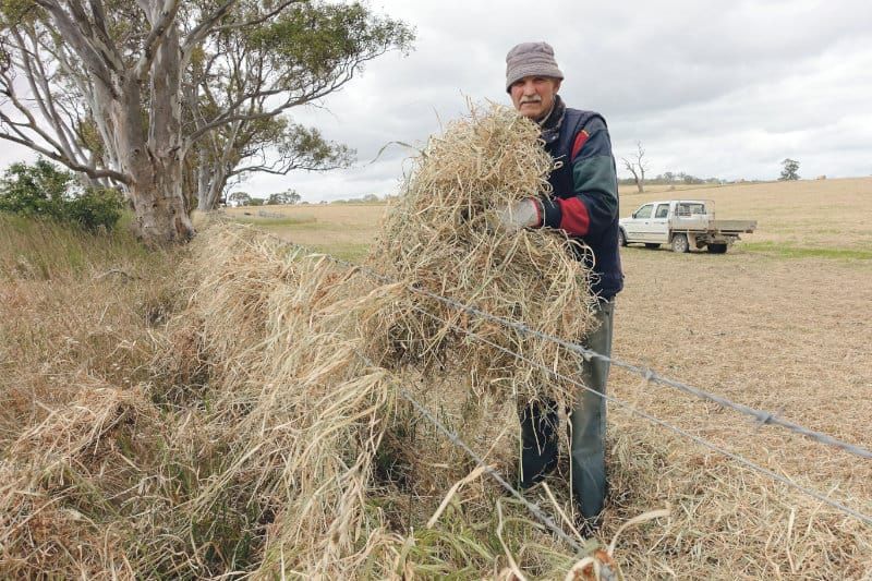 Another blow for farmers post image