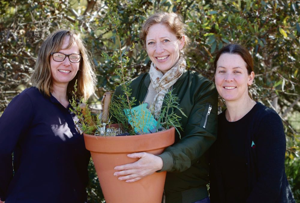 Barossa’s best native garden! post image