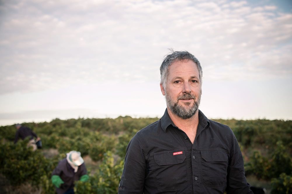 India and Vietnam on the radar for wine exports post image