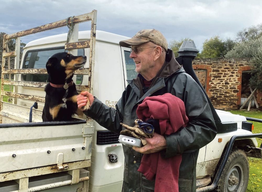 Sometimes things can get a bit ruff! post image