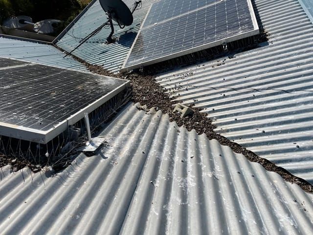 Protecting your property’s gutters post image