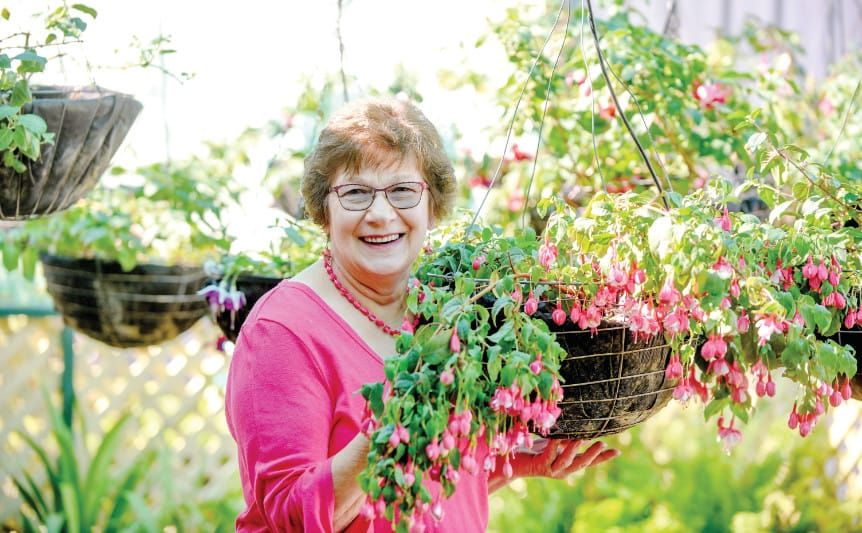 A time to blossom post image