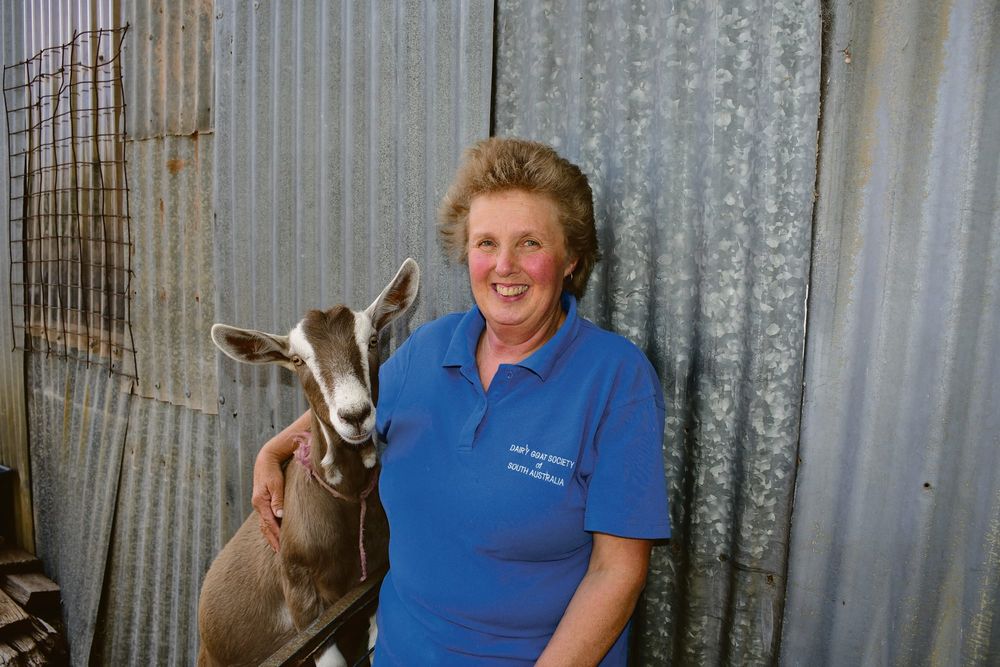 Farmer in Focus, Linda Schmidt post image
